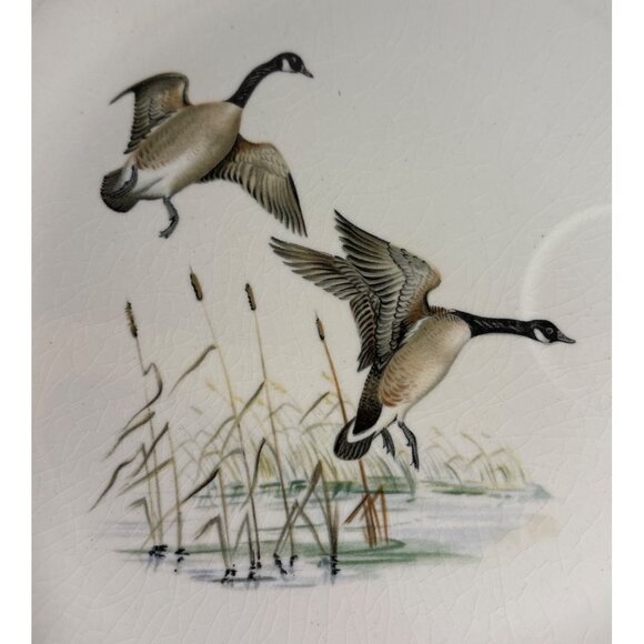 Georgina China Snack Plate & Tea Cup Flying Geese USA Cabincore Birds 1950's - Picture 5 of 14